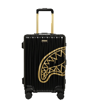 تحميل الصورة في عارض المعرض، THAT GOLD DRAP CARRY-ON LUGGAGE
