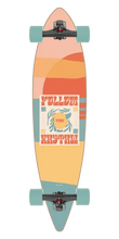 Load image into Gallery viewer, Soil 38" Pintail
